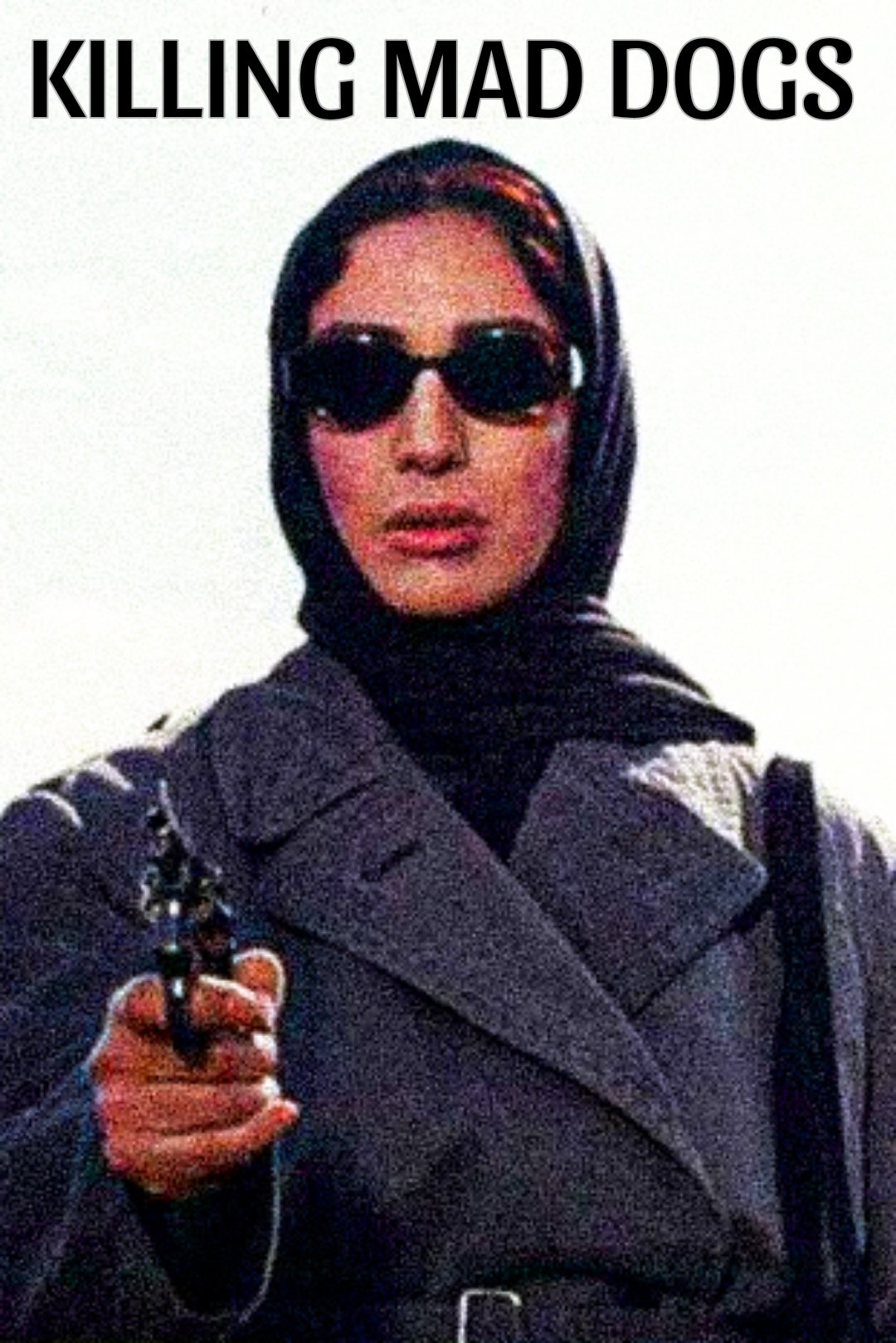 Killing Mad Dogs poster