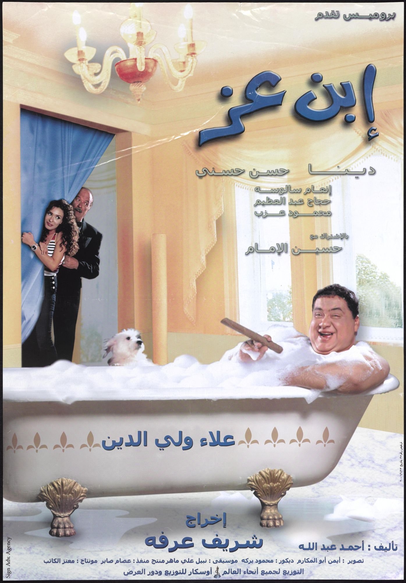 Son of Wealth poster