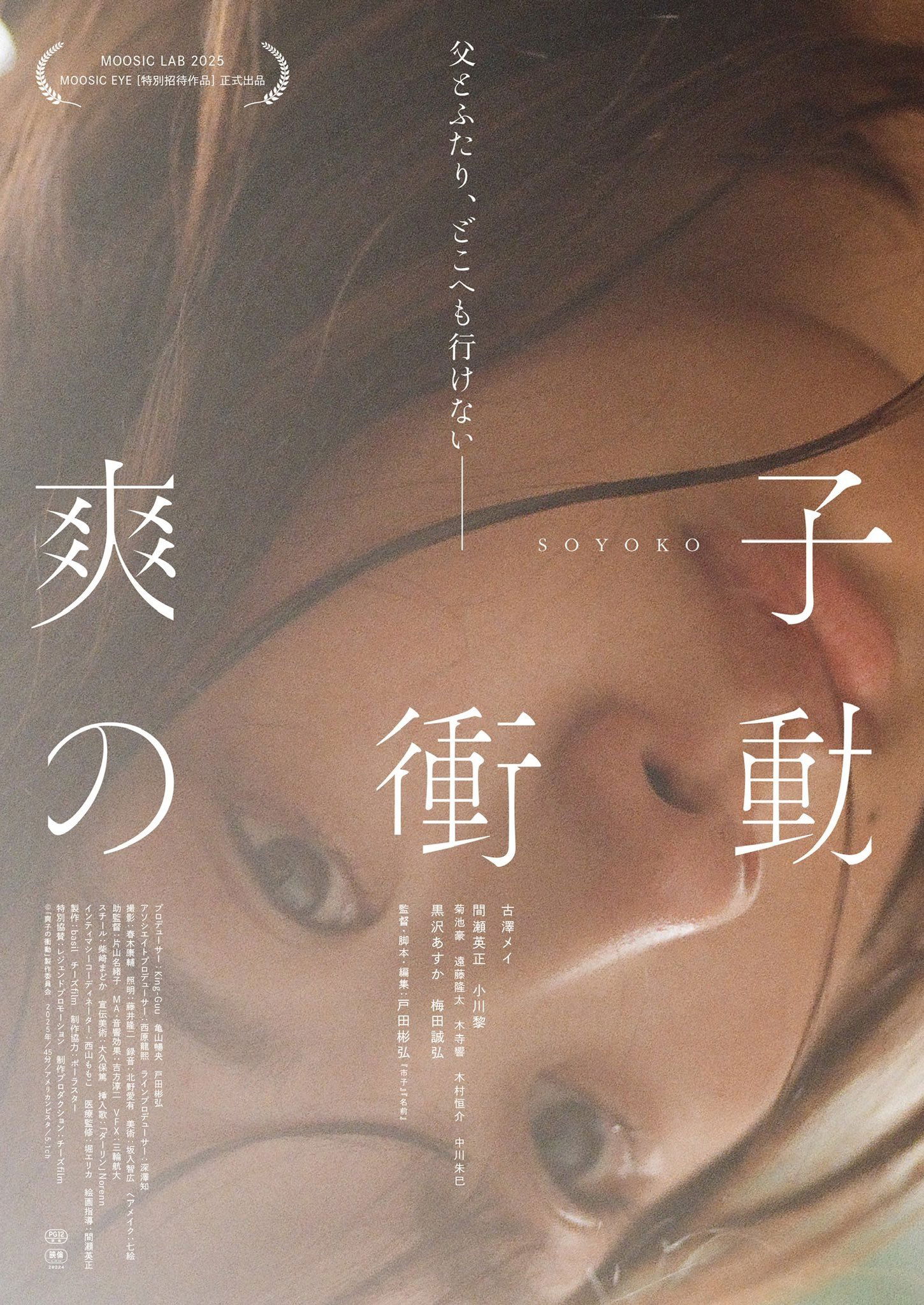 Soyoko poster