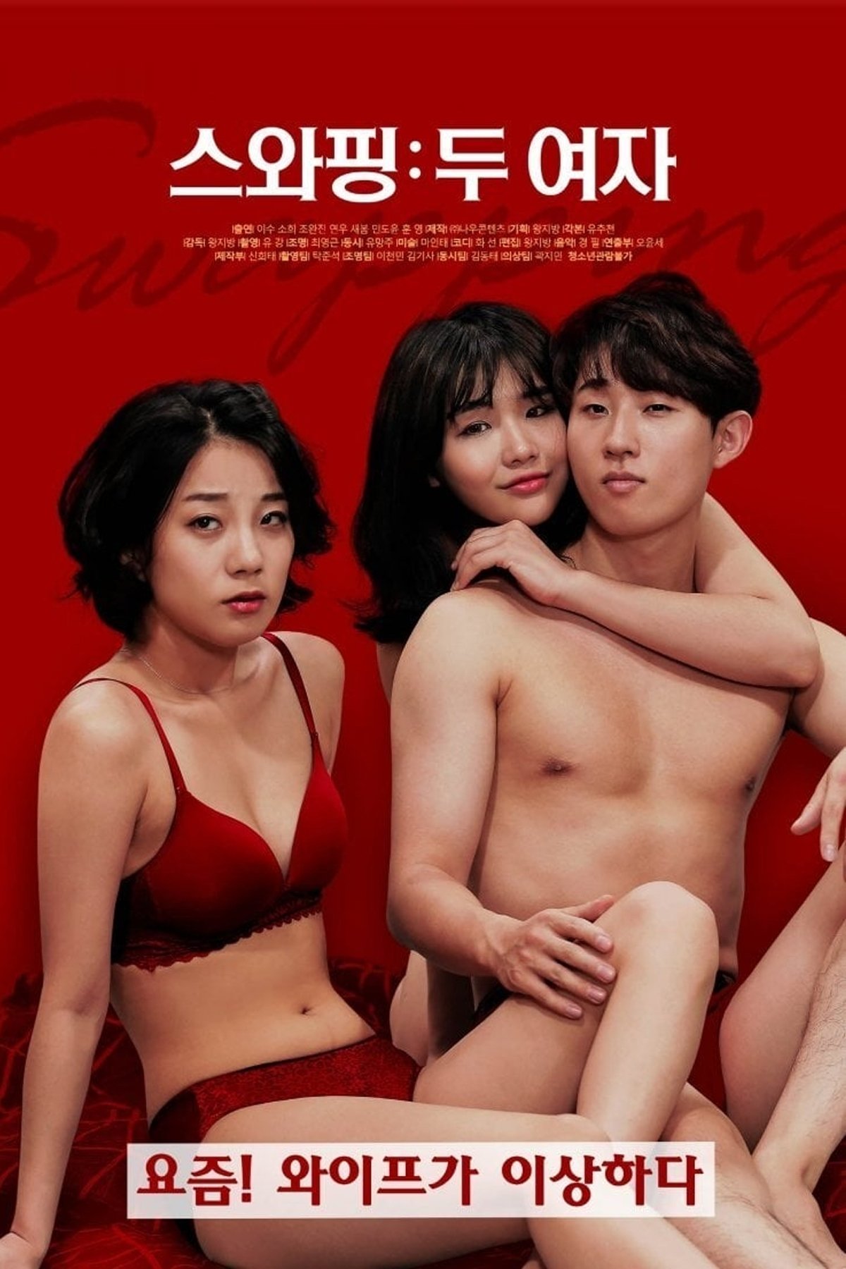 Swapping: Two Women poster