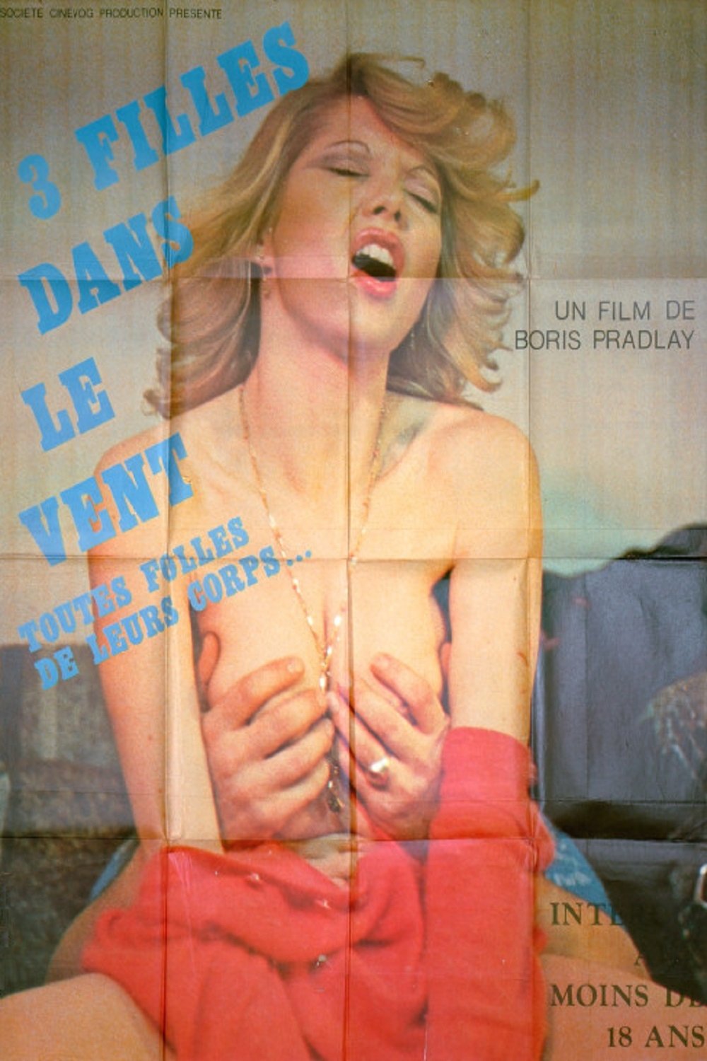 Trois filles dans le vent poster